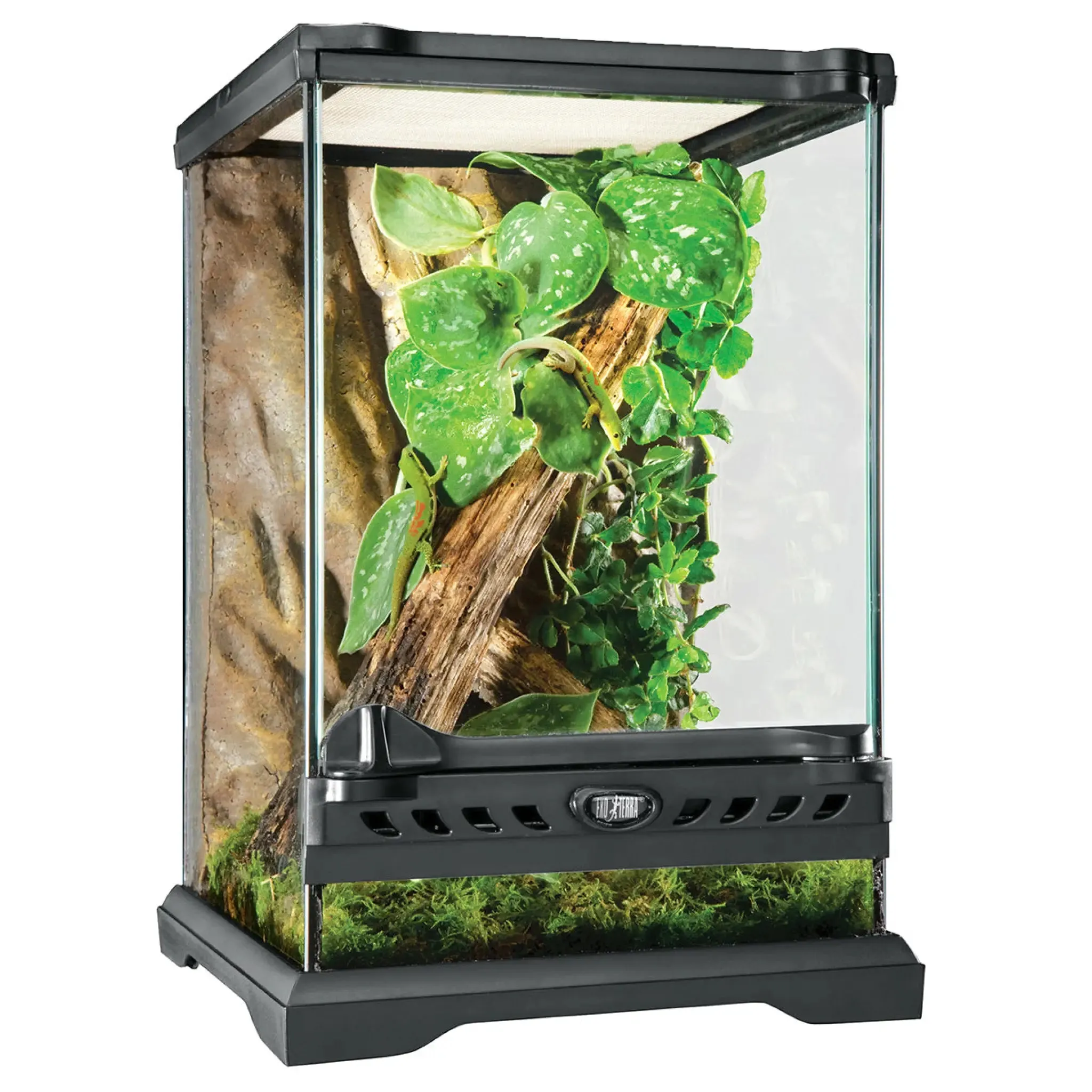 Exo Terra Glass Terrarium Nano Tall - 20x20x30cm