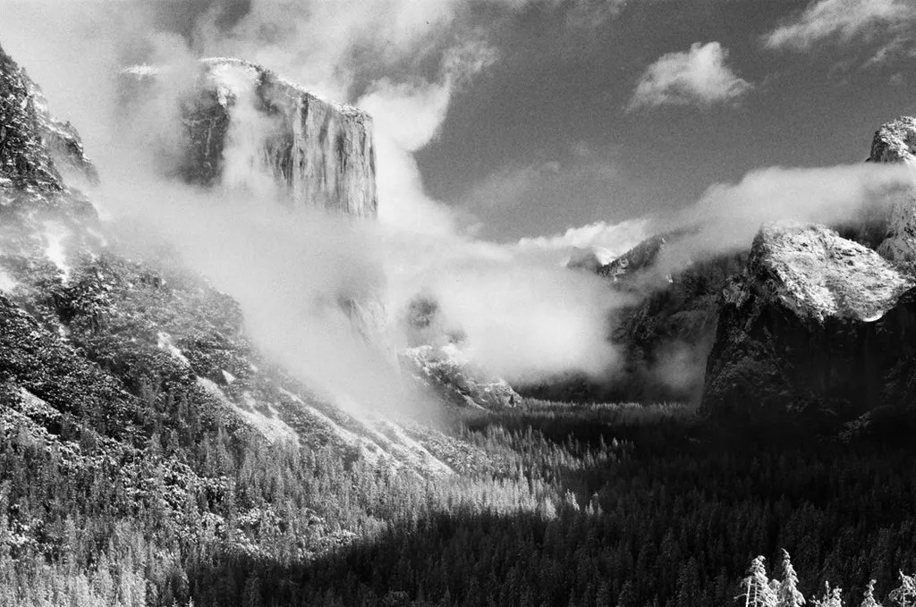 Film Photography Project FPP 35mm Black & White Infrared Film 24 exp.