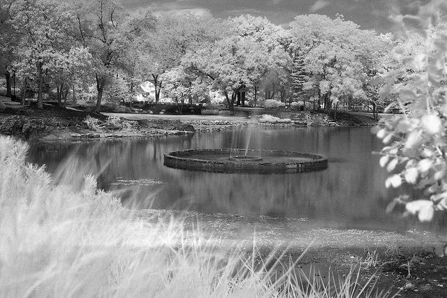 Film Photography Project FPP 35mm Black & White Infrared Film 24 exp.