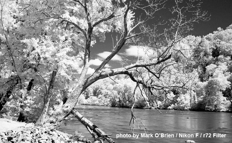 Film Photography Project FPP 35mm Black & White Infrared Film 24 exp.