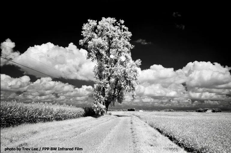 Film Photography Project FPP 35mm Black & White Infrared Film 24 exp.