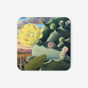 Las Tunas Vision Coaster Set