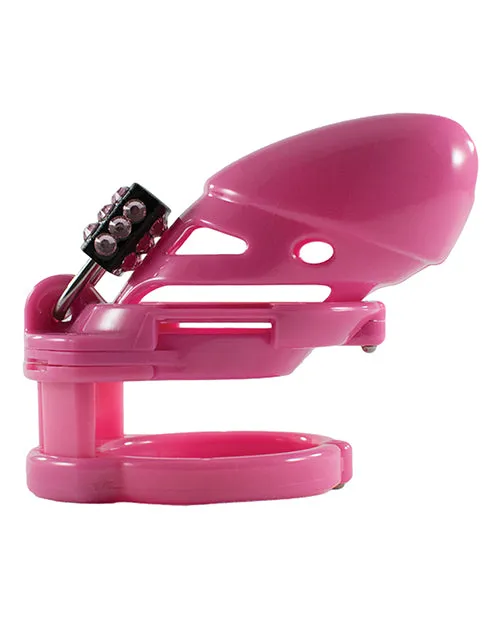 Locked In Lust The Vice Standard