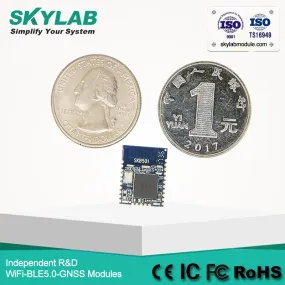 SKYLAB nRF52840 QIAA chip, nRF52840 Bluetooth 5 MESH Bluetooth Low Power module